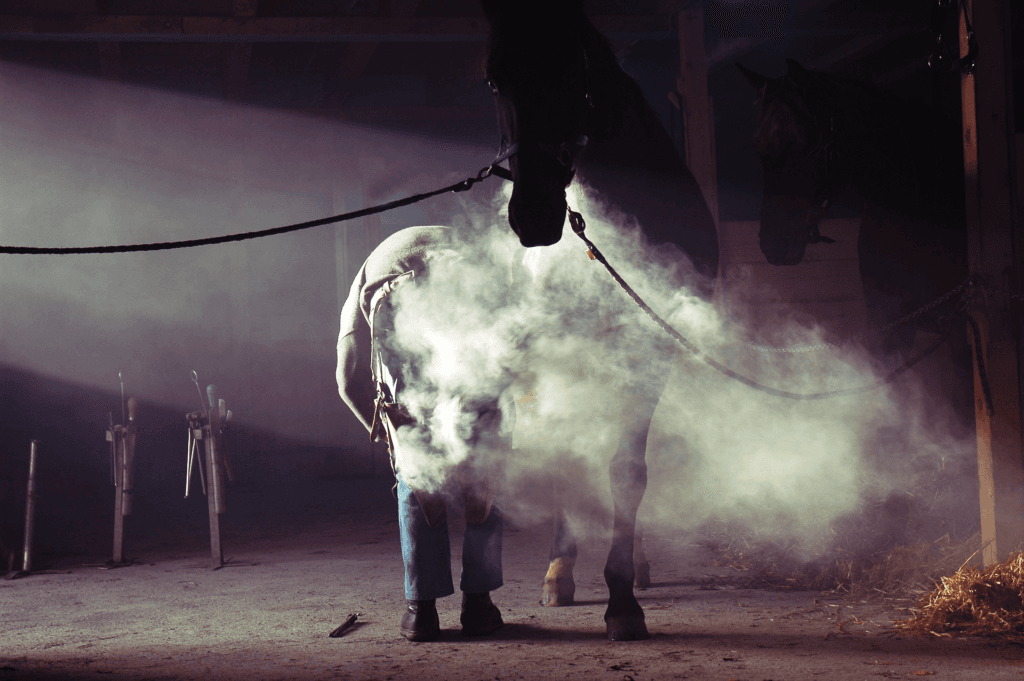 【共同通信杯2019予想】変わり身期待の穴馬、マードレヴォイス