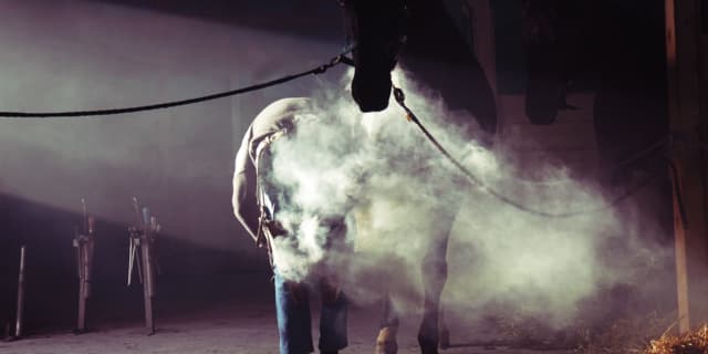 【共同通信杯2019予想】変わり身期待の穴馬、マードレヴォイス