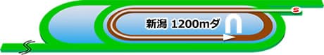 新潟競馬場　ダート1200m