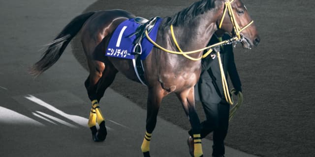 【AJCC予想2020】ニシノデイジー、55キロなら好勝負見込める