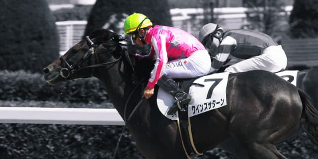 【フェブラリーS予想2019】荒れるなら東京巧者の人気薄