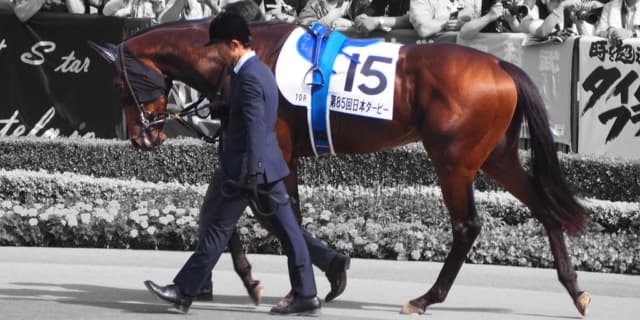 【中山記念2019予想】外厩仕上げのステルヴィオ、重賞連勝へ充実一途