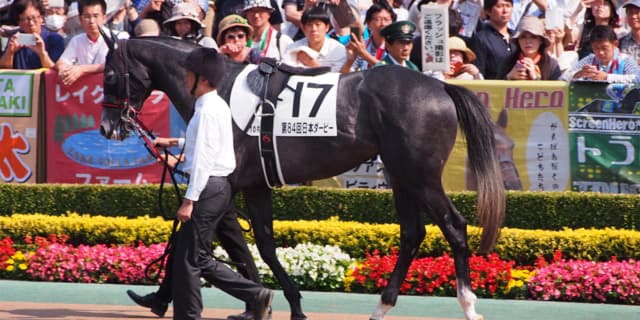 【香港カップ予想2019】ウインブライト、得意の香港で苦難の秋を巻き返せるか