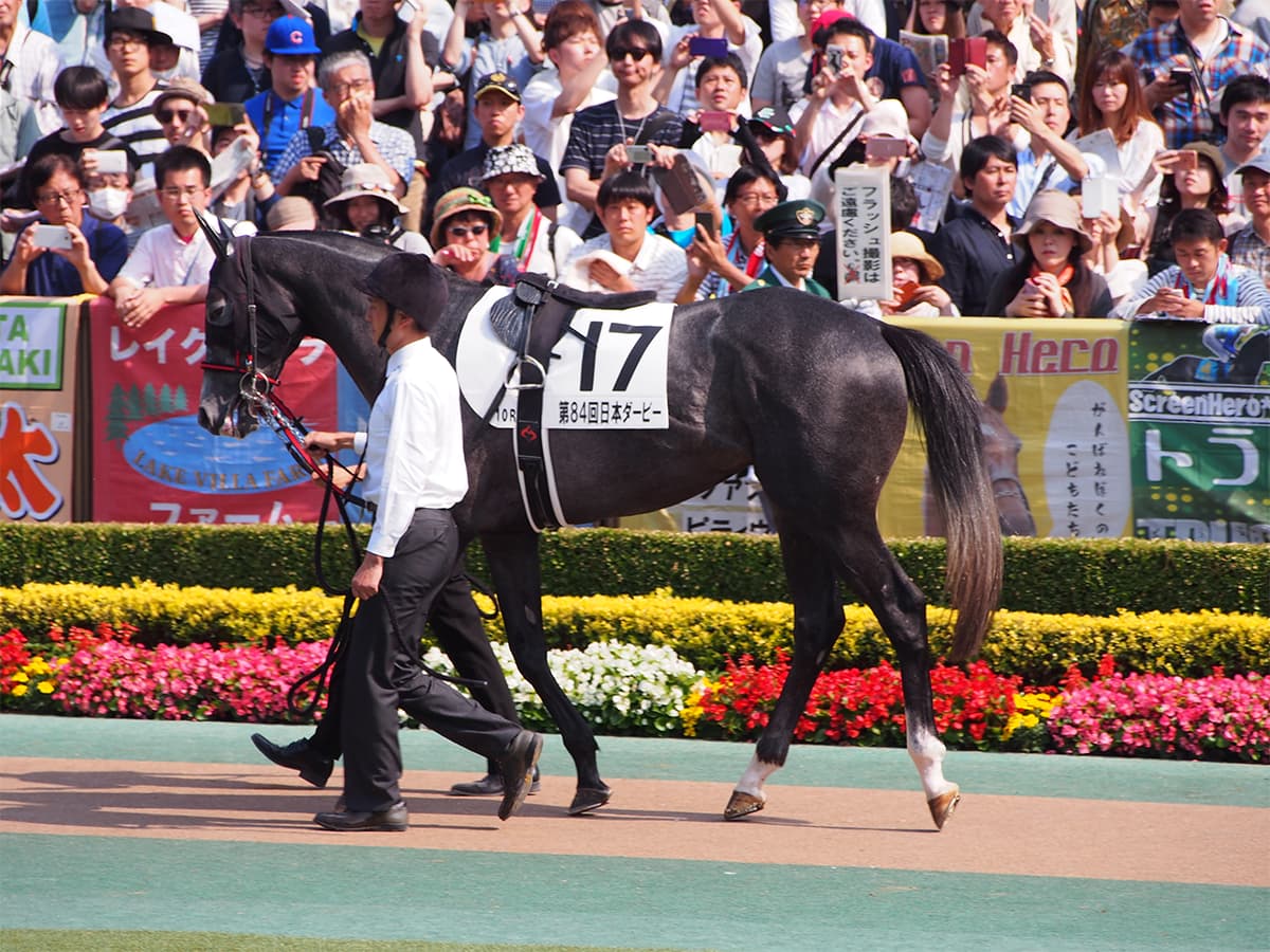 【中山記念2019予想】中山巧者の前年覇者ウインブライトがG1馬5頭に挑む!