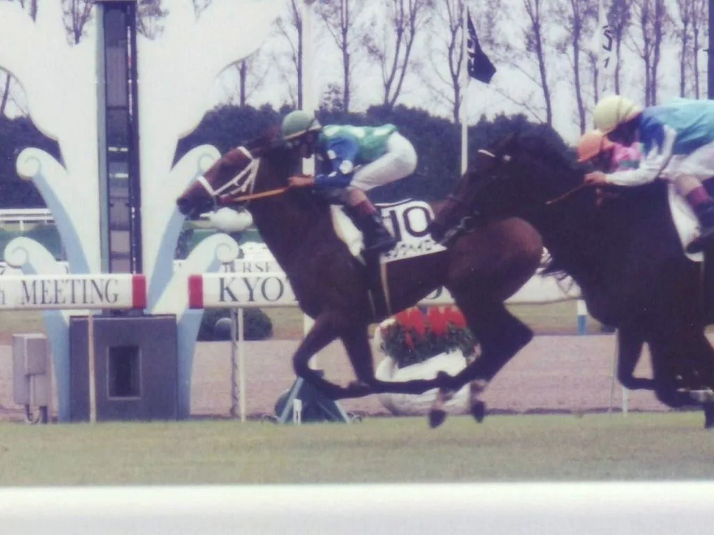 キングヘイロー、老衰で亡くなる