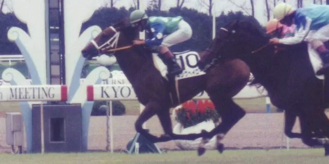 キングヘイロー、老衰で亡くなる