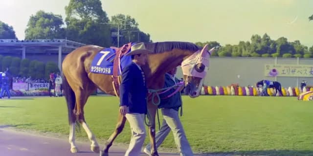 サクラキャンドル、亡くなる