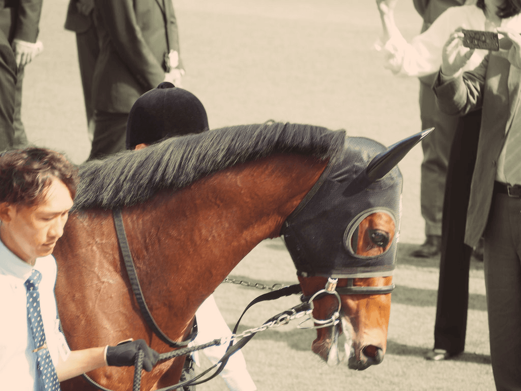 【金鯱賞2019予想】G1級のメンバー勢揃い！ダノンプレミアムやエアウィンザーなど、出走予定馬を考察