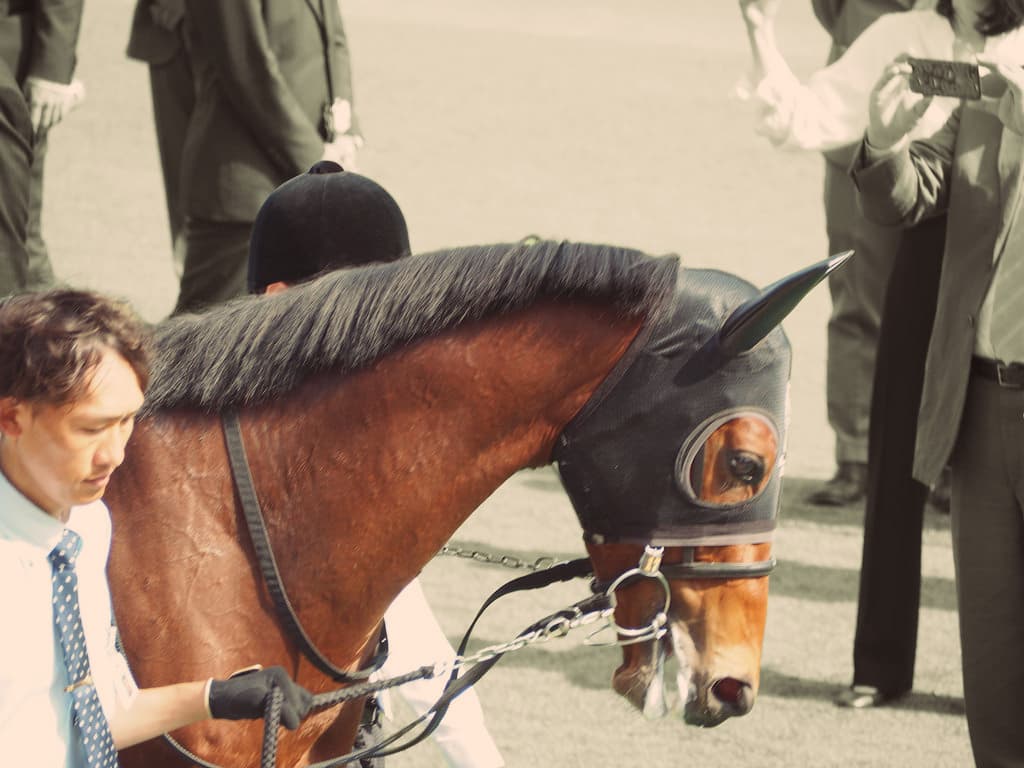 【金鯱賞2019予想】G1級のメンバー勢揃い！ダノンプレミアムやエアウィンザーなど、出走予定馬を考察