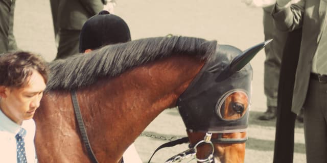 【金鯱賞2019予想】G1級のメンバー勢揃い！ダノンプレミアムやエアウィンザーなど、出走予定馬を考察