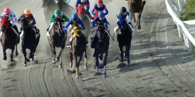 【根岸S予想2020】フェブラリーSへ向けた注目のダート短距離重賞！コパノキッキングやミッキーワイルドなど出走予定馬を考察