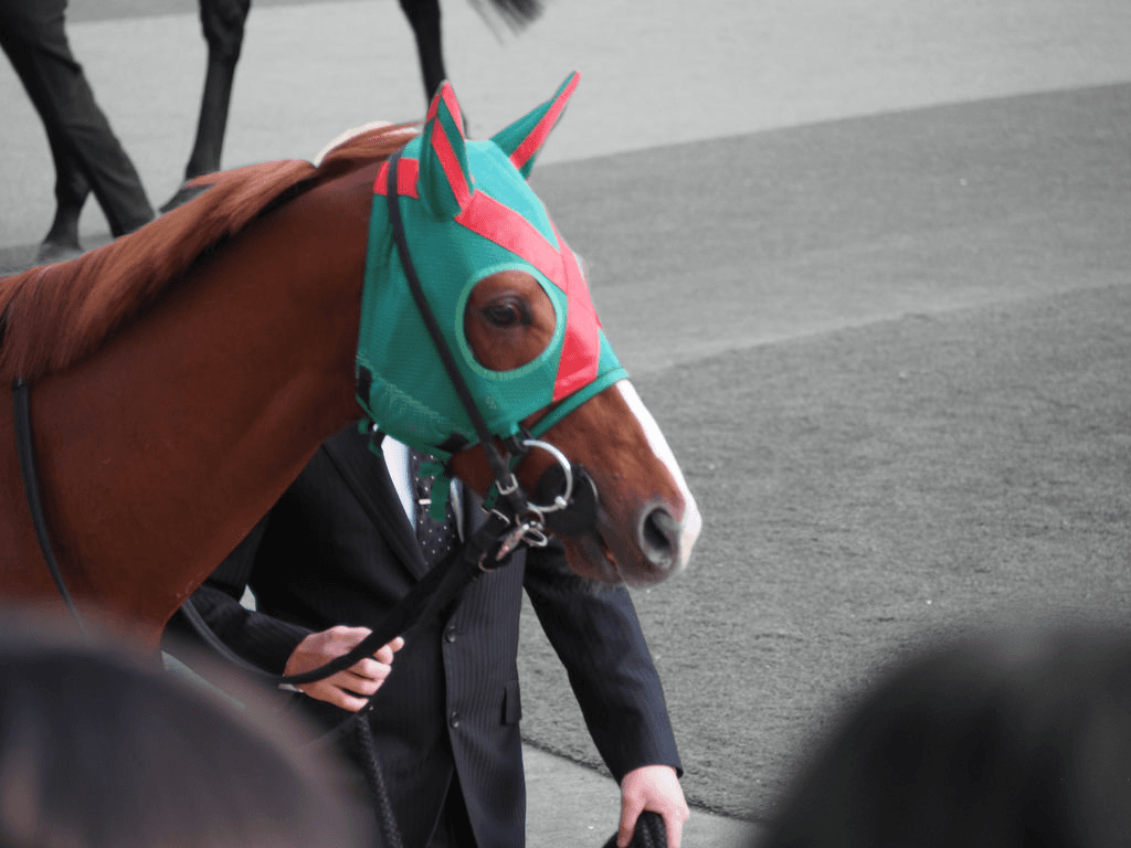 【アルゼンチン共和国杯2019予想】ハッピーグリン、移籍初戦から好勝負期待