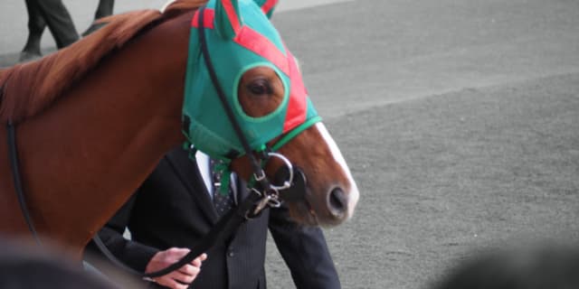 【日経賞2019予想】妙味たっぷり！伏兵ハッピーグリン