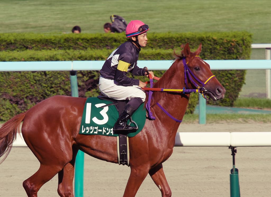 【高松宮記念2019予想】4度目の正直？レッツゴードンキ、今年がラストチャンスか