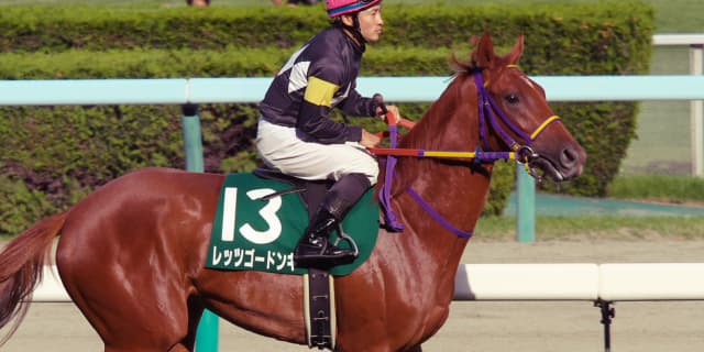 【高松宮記念2019予想】4度目の正直？レッツゴードンキ、今年がラストチャンスか