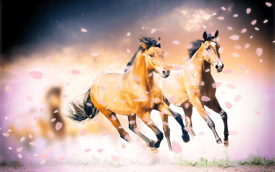 【フラワーC予想2019】桜への最終便！エールヴォアやコントラチェックなど、出走予定馬を考察