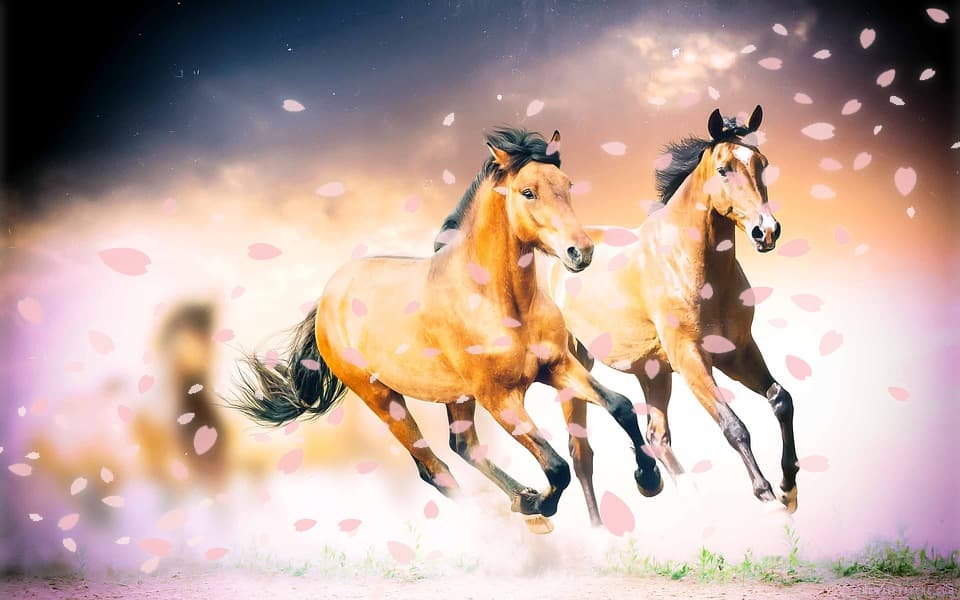 【フラワーC予想2019】桜への最終便！エールヴォアやコントラチェックなど、出走予定馬を考察