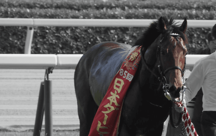 ワグネリアン、復帰は夏以降