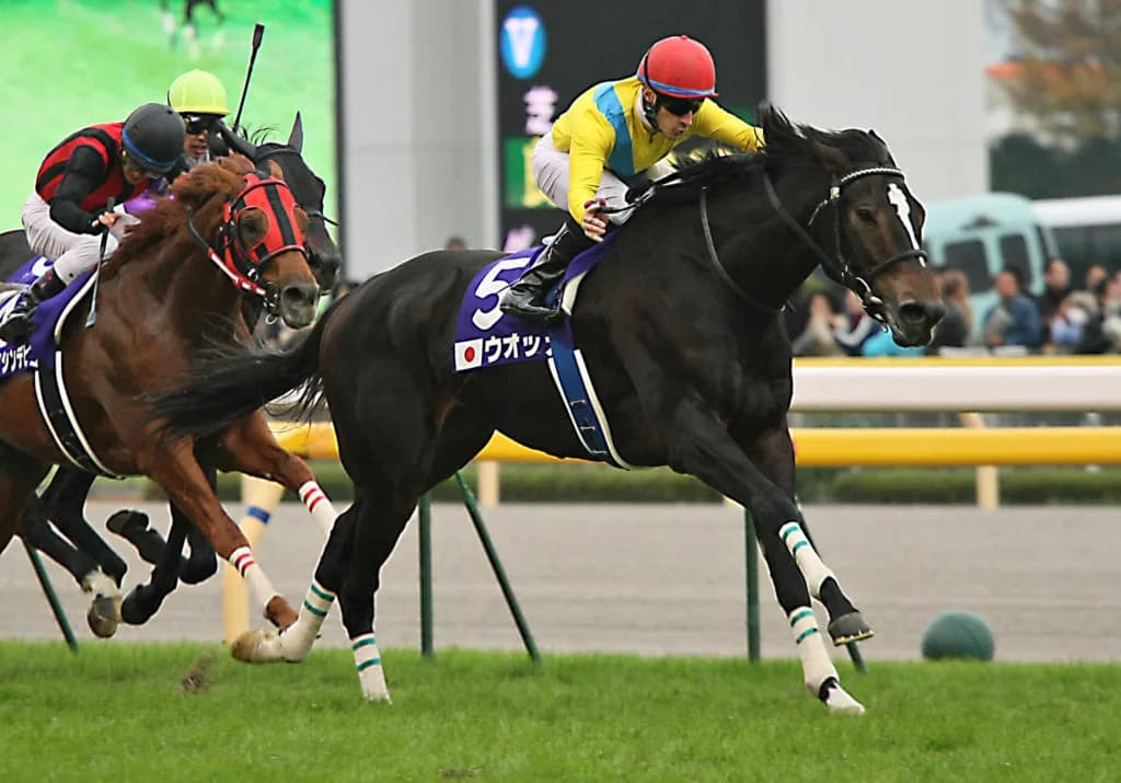 ダービー牝馬ウオッカ、蹄葉炎で亡くなる