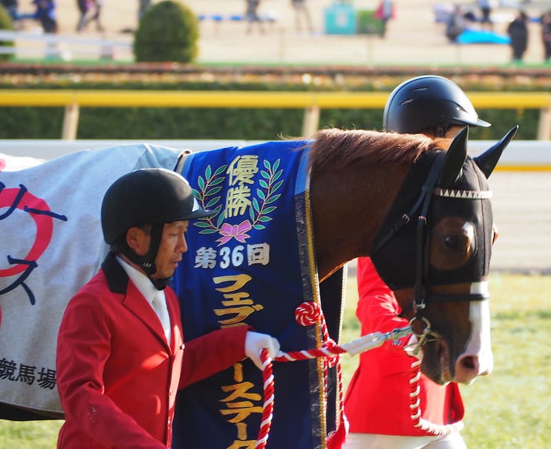 優先出走権を獲得したインティ、ブリーダーズカップ参戦なるか？