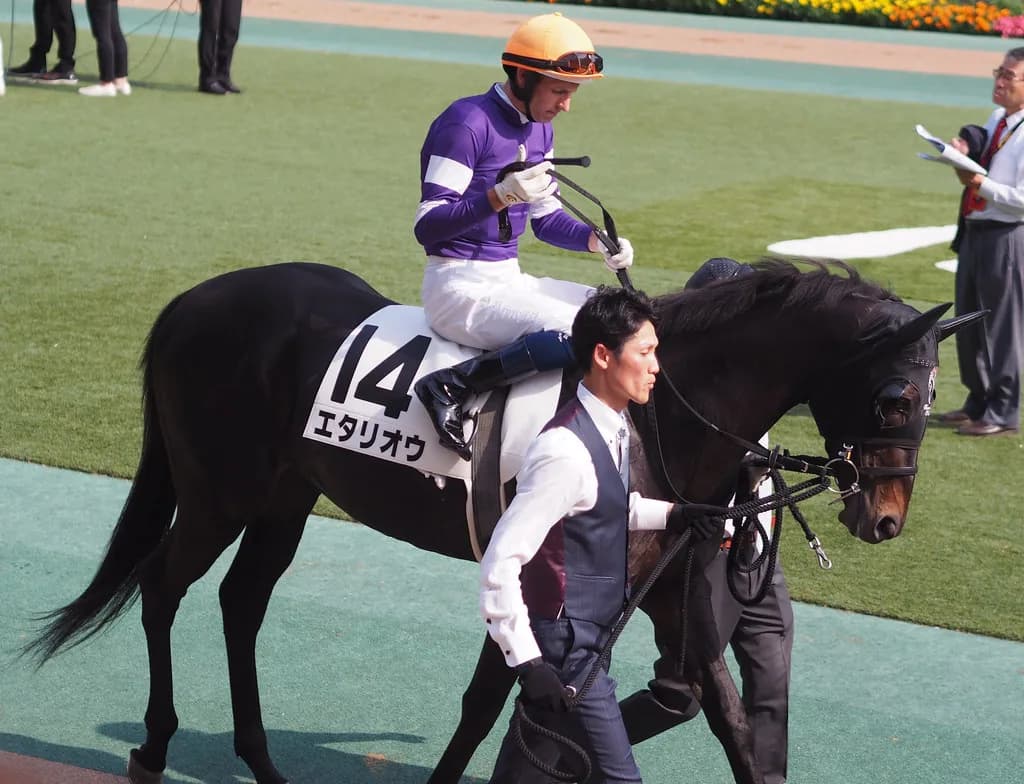 【天皇賞春2019予想】エタリオウやフィエールマンなど出走予定馬を考察
