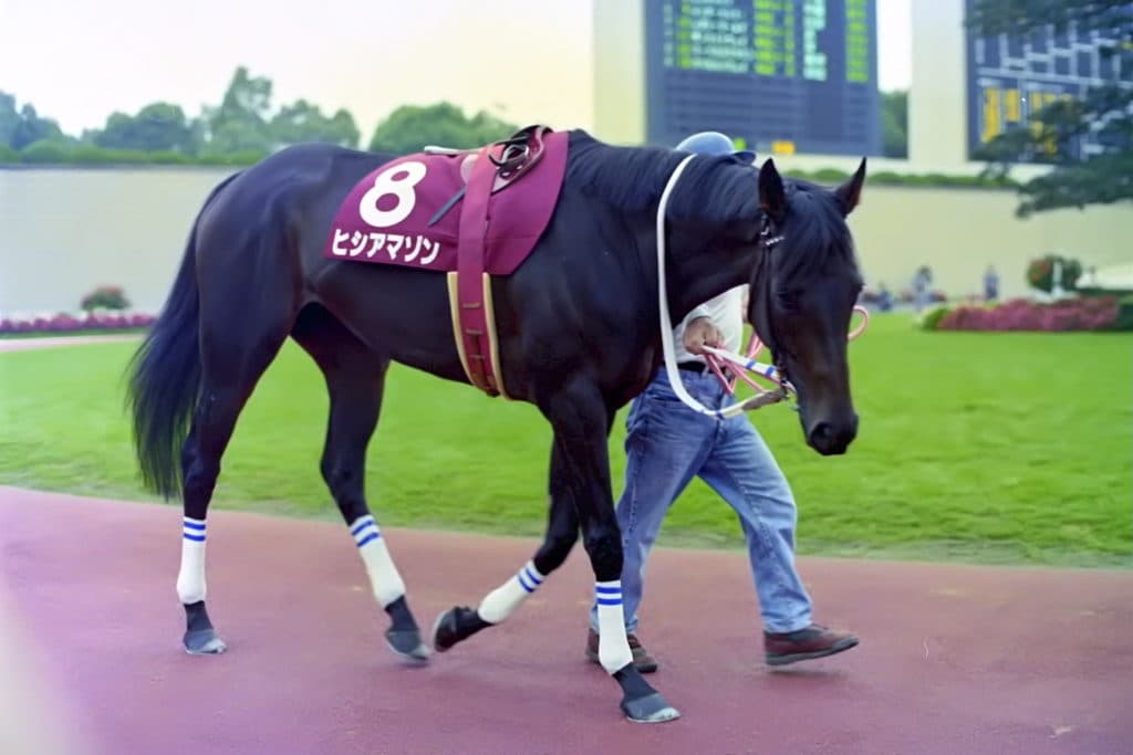 女傑ヒシアマゾン、老衰のため死亡