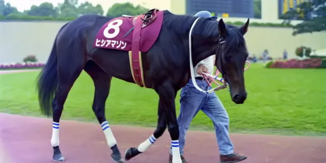 女傑ヒシアマゾン、老衰のため死亡