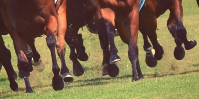 【ニュージーランドT予想2019】アガラスやミッキーブラックなど、出走予定馬を考察