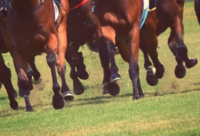 【スワンS2019】マイルCSの前哨戦！アマルフィコーストやマイスタイルなど出走予定馬を考察