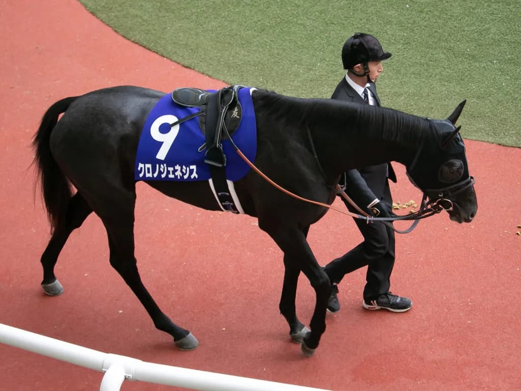 【オークス予想2019】クロノジェネシス、課題は「枠」と北村騎手の「仕掛けのタイミング」？