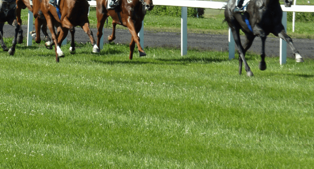 【韋駄天S予想2019】ライオンボス、直千のヒーローへ