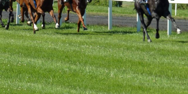 【韋駄天S予想2019】ライオンボス、直千のヒーローへ