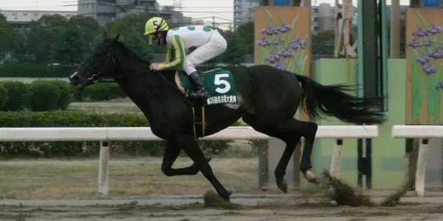 ニホンピロアワーズ、2019年新種牡馬勝ち上がり第一号に