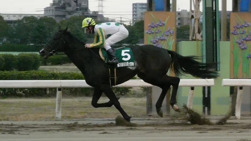 ニホンピロアワーズ、2019年新種牡馬勝ち上がり第一号に