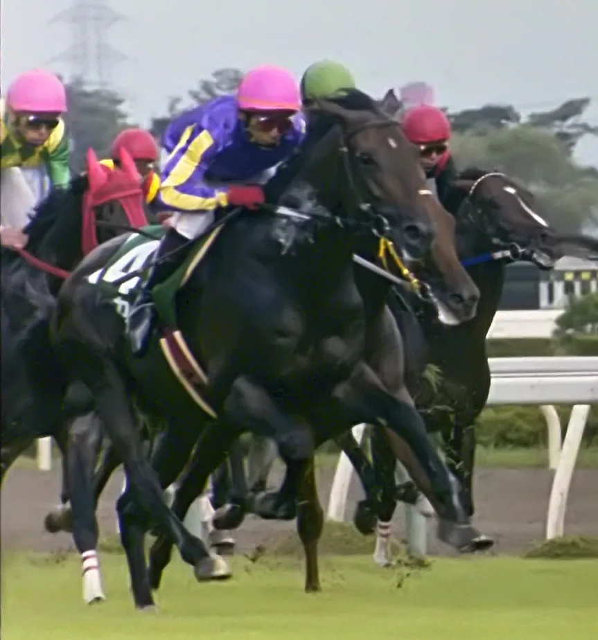 平成の名ジャンパー・ゴーカイ、26歳で老衰で亡くなる