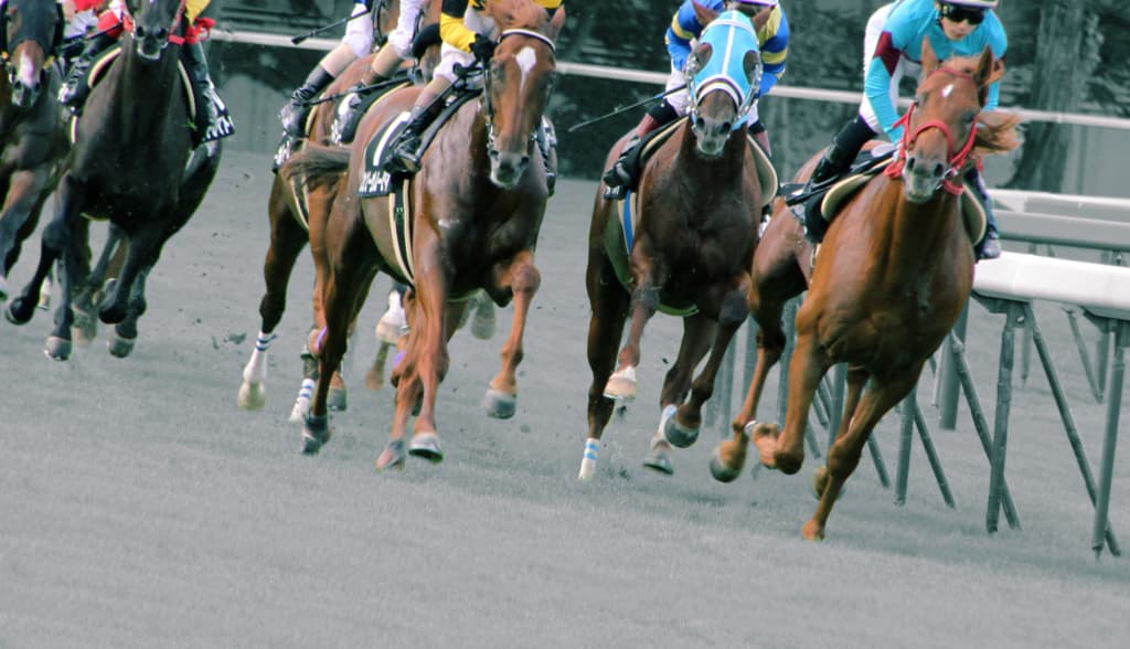 【中京記念2019予想】夏の中京ラスト！プリモシーンやカテドラルなど出走予定馬を考察