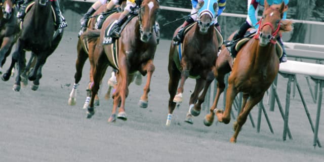 【中京記念2019予想】夏の中京ラスト!プリモシーンやカテドラルなど出走予定馬を考察