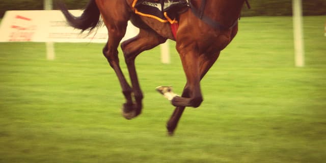 【京都新聞杯2021予想】エフフォーリアに一番迫ったエスコバル、賞金加算へ意欲