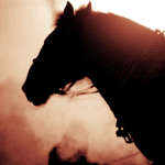 【阪神ジュベナイルフィリーズ2025予想】“大物感”漂うヒズマスターピース、鍵を握る逃げ馬