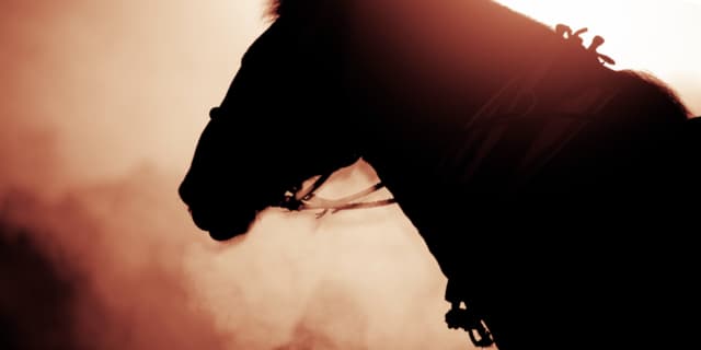 【阪神ジュベナイルフィリーズ2025予想】“大物感”漂うヒズマスターピース、鍵を握る逃げ馬