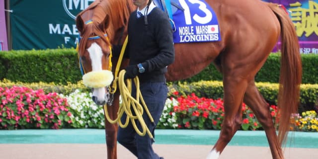 【鳴尾記念2019予想】宝塚記念3着のノーブルマーズ、阪神巧者の巻き返しに注意！