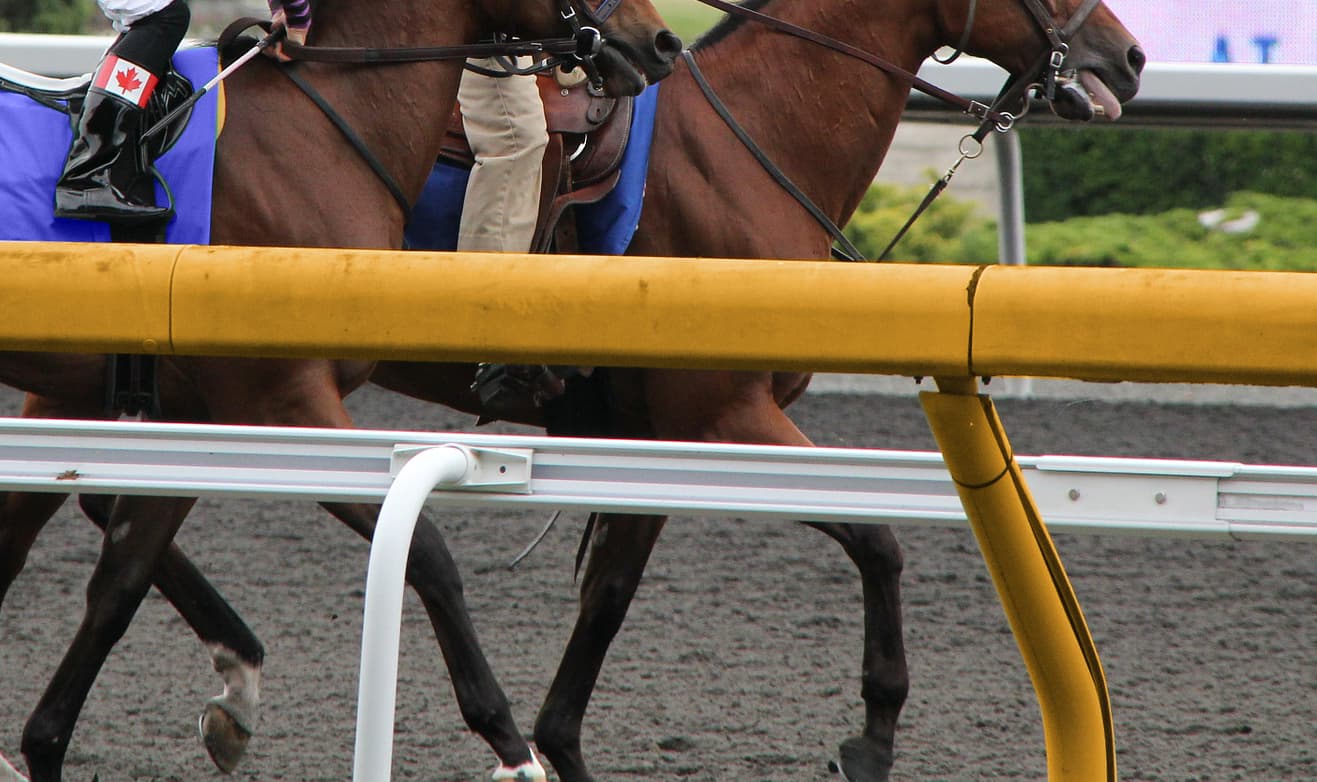 【福島記念2019予想】調教・最終追い切りが高評価の馬トップ3