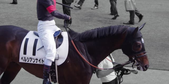 【安田記念2019予想】反撃なるかペルシアンナイト、スムーズな競馬できれば