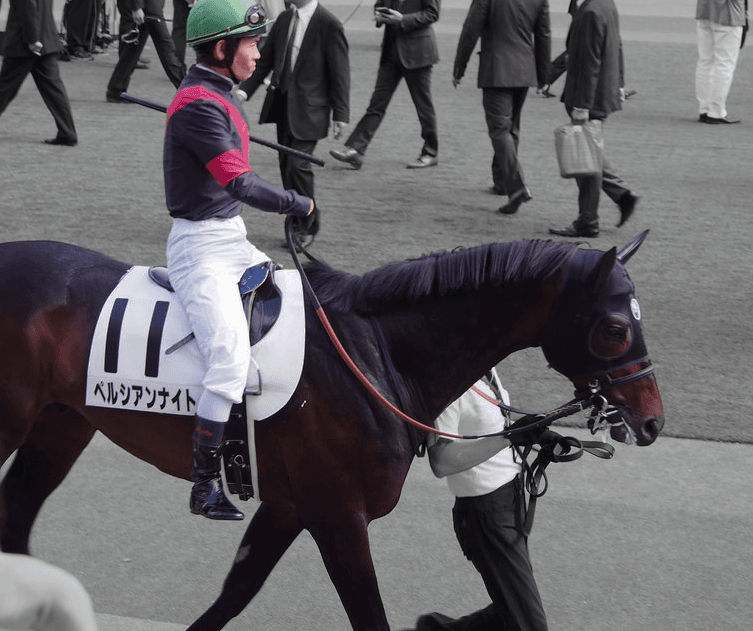 【安田記念2019予想】反撃なるかペルシアンナイト、スムーズな競馬できれば