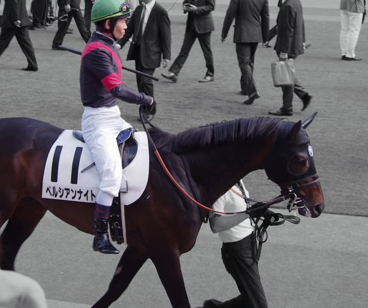 【マイルチャンピオンシップ2019予想】レース3度目、ブリンカー3走目、叩き3走目のペルシアンナイト、“三度目の正直”となるか？