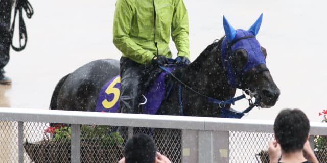 【安田記念2019予想】岩田＆サングレーザー、買い時はココ？！