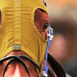 【中山記念2026予想】波乱の主役はこの馬だ！中山巧者マイネルモーント