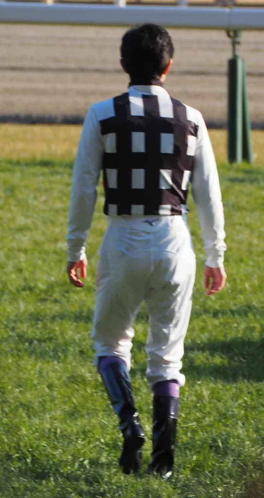 【帝王賞2019予想】インティ中心、武豊騎手の得意パターン