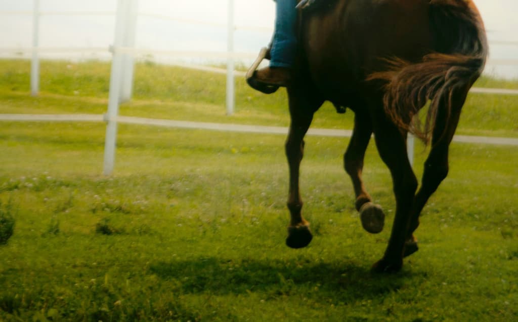 【福島牝馬Sの回顧】ディアンドルの逃げ切り。次走の狙いは差し馬にあり？