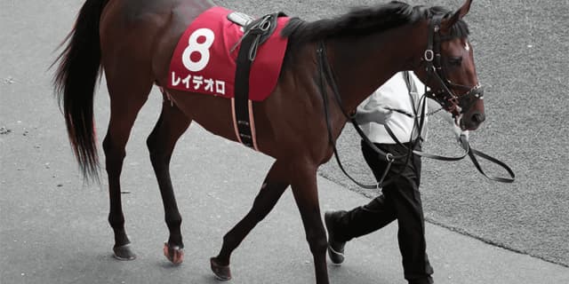 【宝塚記念2019予想】レイデオロの唯一の不安要素とは？